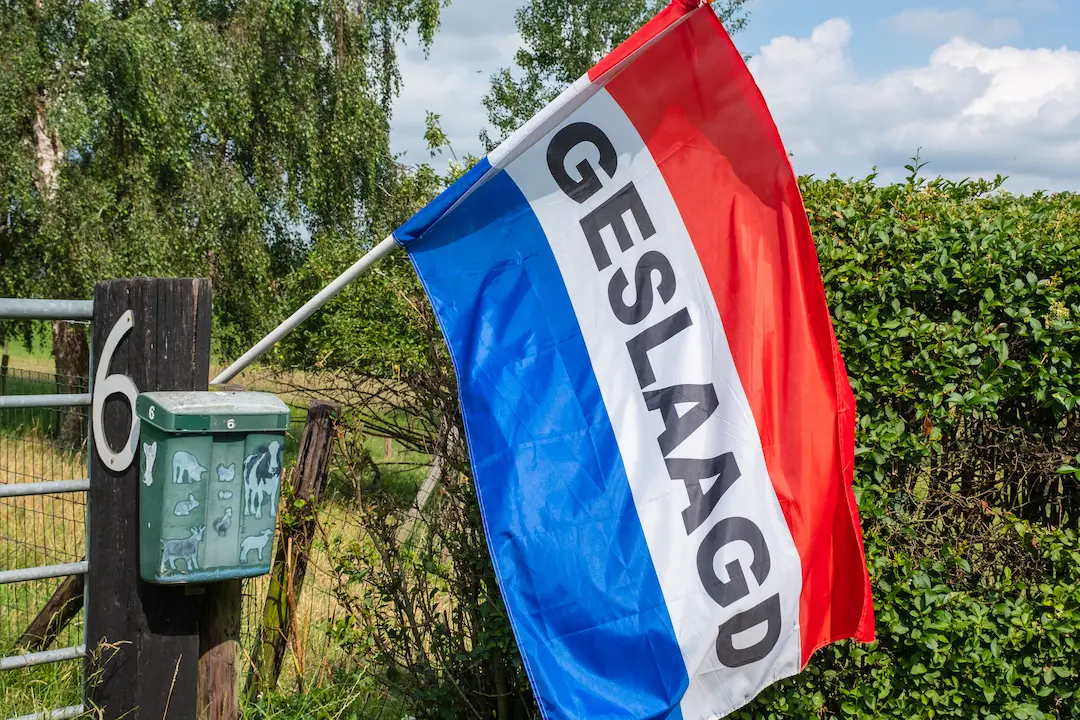 Traditional Dutch flag with text "Geslaagd" meaning someone has passed school exams
