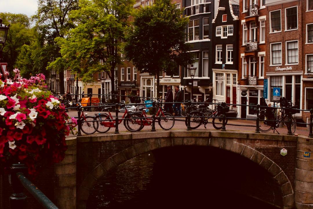 a great way on how to learn dutch is to visit the netherlands